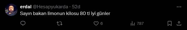 Vatandaş Mehmet Şimşek'in enflasyonuna yakınsadı! "Limon 80 TL iyi günler" 8